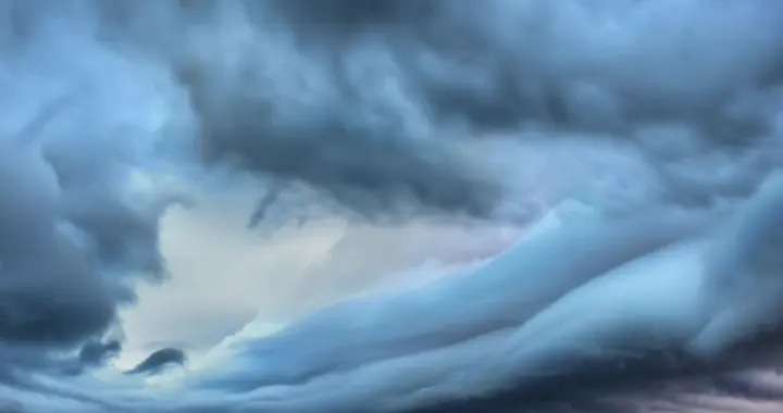 反常！今年蚊子“杀疯了”？老天爷救了它们的命，后面还有狠招