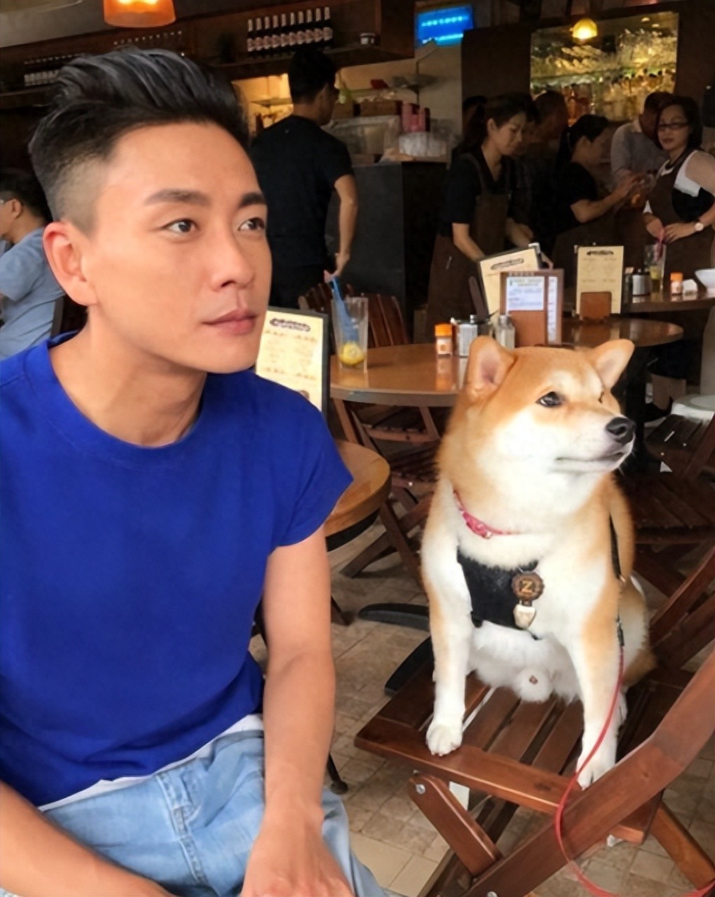 张柏芝立遗嘱后，黄宗泽也直言：临死前花光钱，花不完送给别人