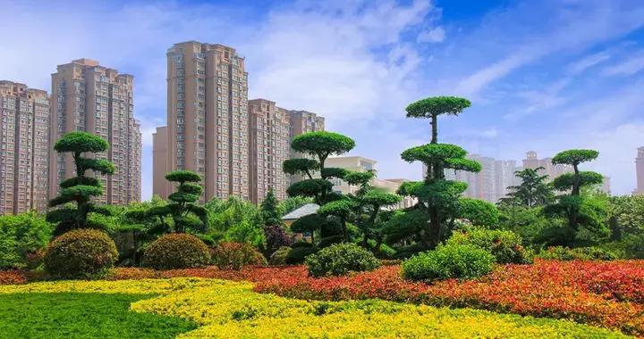 2025年濮阳各地财政收入，清丰总量靠前，台前增速出色