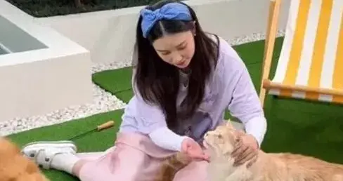 阚清子晒婚后别墅，屋里有电梯，爱马仕盒子摆一墙，用LV装小猫