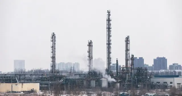 从国家示范项目到破产清算，沈阳蜡化25年兴衰，暴露三大行业痛点