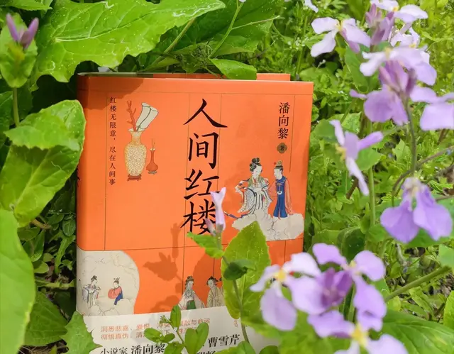 《人间红楼》一场跨越时空的文学对话与灵魂叩问