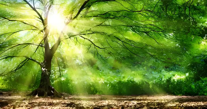 致弟弟：改变已经刻不容缓！