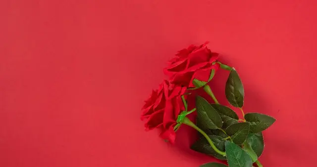 一个女人最该戒的瘾：不戒烟酒，先戒这4样，不信你看看