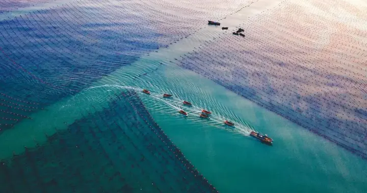 百年前被打沉的那片海，如今成了山东的王牌