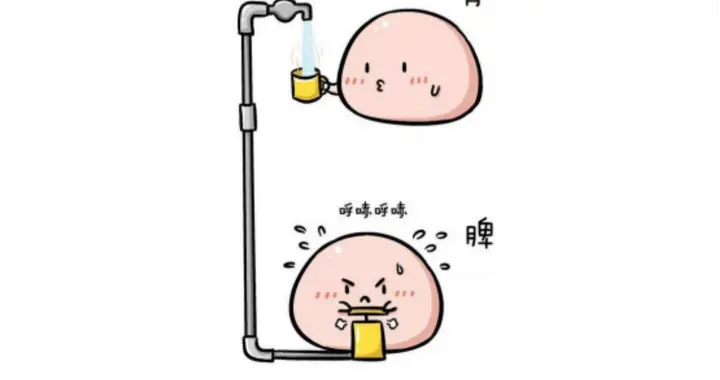 肾精不足人易老，可不止补肾这么简单，肝脾肾同调才是关键