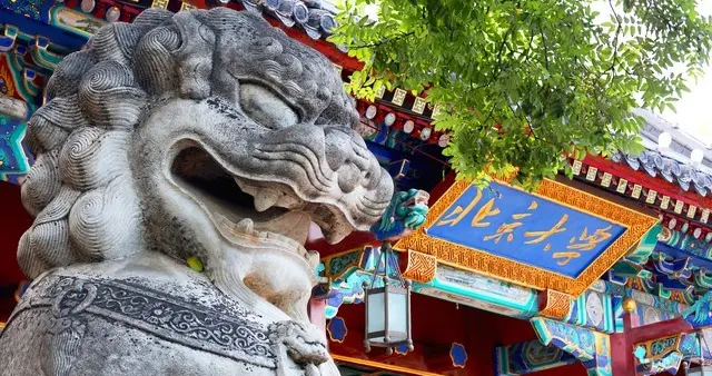 2025中国顶尖学科排名出炉！这些高校问鼎“冠军宝座”