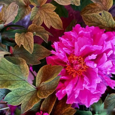 优美漂流瓶阳阳