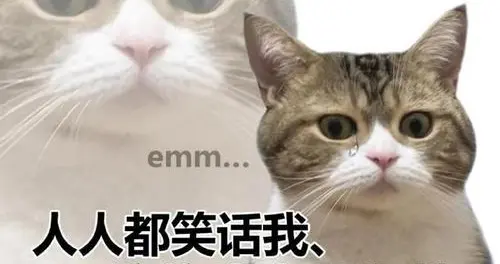 薅羊毛的精髓是什么？只能说各有各的花路