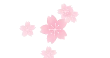 宁德屏南：这场樱花嘉年华把“婚育新风”玩出了新花样