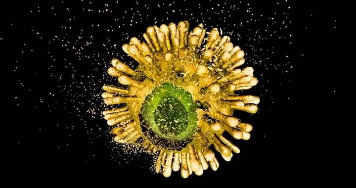 瞄准病毒衣壳：一种新型艾滋病药物刚刚通过了首次人体试验
