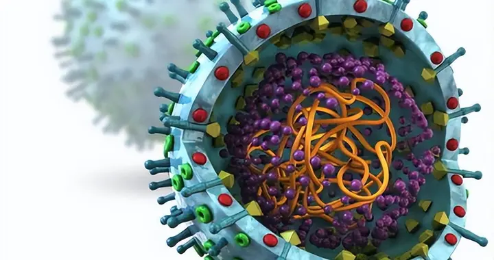 病毒是怎么被发现的？细菌和病毒有什么区别？