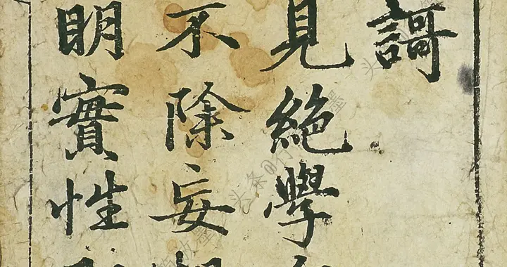 赵孟頫·《证道歌》，少见版本，行书为主，笔法圆熟，气势凝重