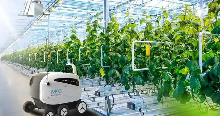 政策重视，设施农业迎来大发展