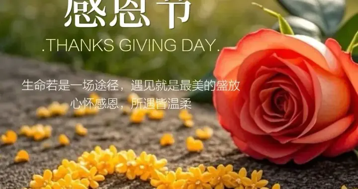 2025年11月27感恩图片 感恩节祝福图片 感恩节暖心文案