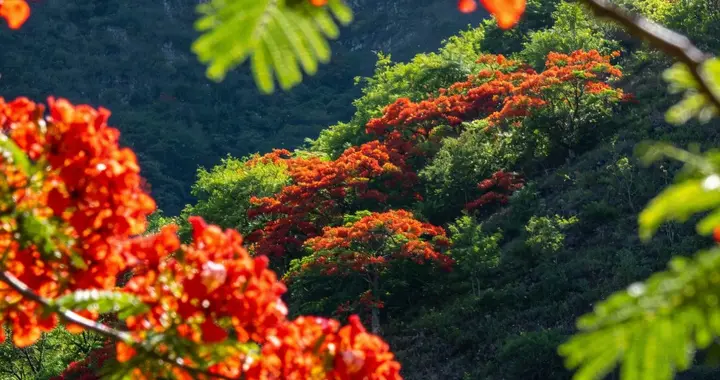 气炸了！六旬阿姨花119万整容毫无效果！