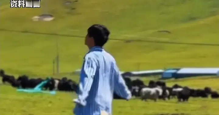 佛山女子患“桃花癫”，痴缠老师闹离婚