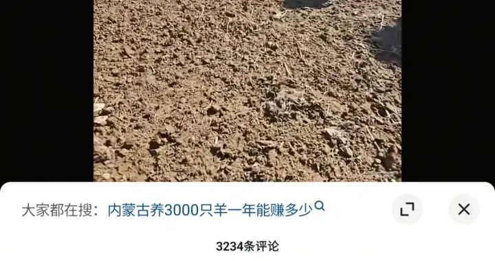 月薪1万6招羊倌，电话被打爆！老板却摇头：这钱，真不是谁都能挣