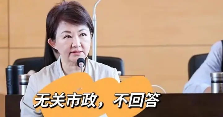 台中市蓝营闪电整合 卢秀燕操盘誓师大会布局2028