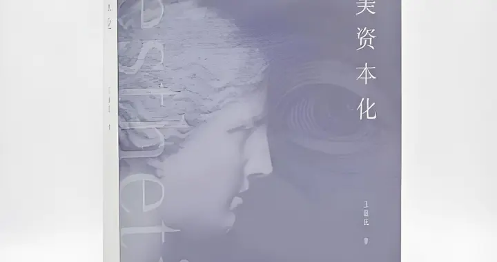 着力打造审美生产力——浅析《审美资本化》的学术启示‖杜吉刚