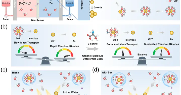 西安交大攻克锌基液流电池核心难题 为长时储能提供创新方案