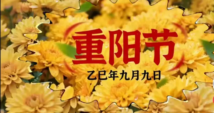 银杏黄了重阳到，比起登高赏菊，长辈更想要的是这份实在
