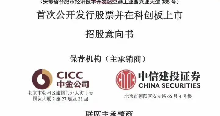 长鑫科技IPO关键信息汇总。
