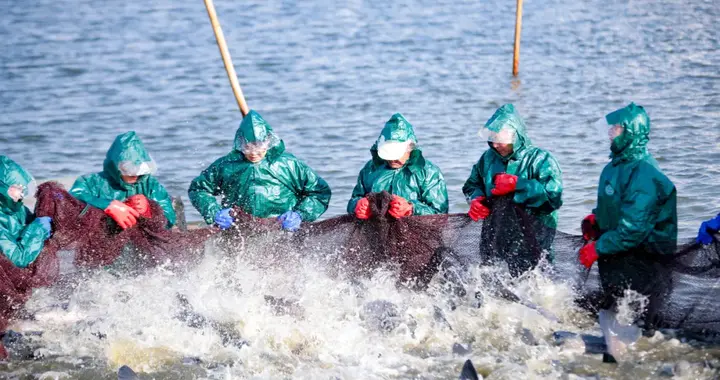 鹅湖观察：小镇身段背后的“大道突围”