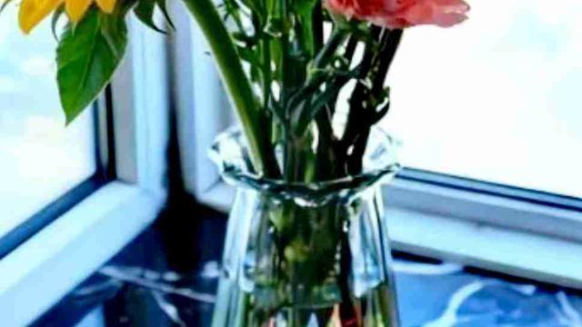 超人1153：美好的一天开始了！ 生命中