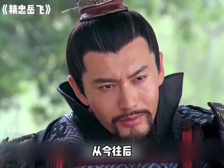 这是大宋第二次杯酒释兵权，岳飞被罢兵权。