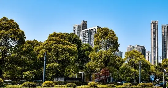 纳税人血汗钱为何补贴外籍留学生，各大高校校长究竟在谋求什么