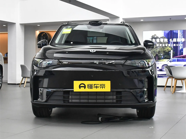 老车主推荐，2+2+2座椅，带小桌板，满油满电续航超1000km，带劲