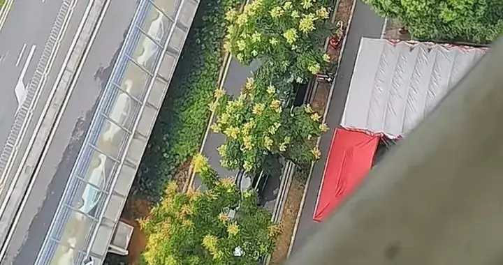 报废出租车“集体侧躺”？城市管理不能只讲“合法”不讲“合情”