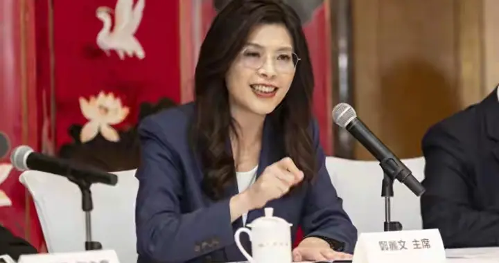 美国一份发价书要了台湾4600亿，赵少康逼宫，蓝营分裂？