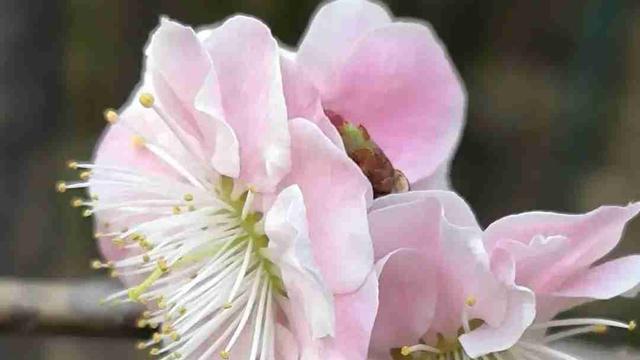 健康的人生最美丽