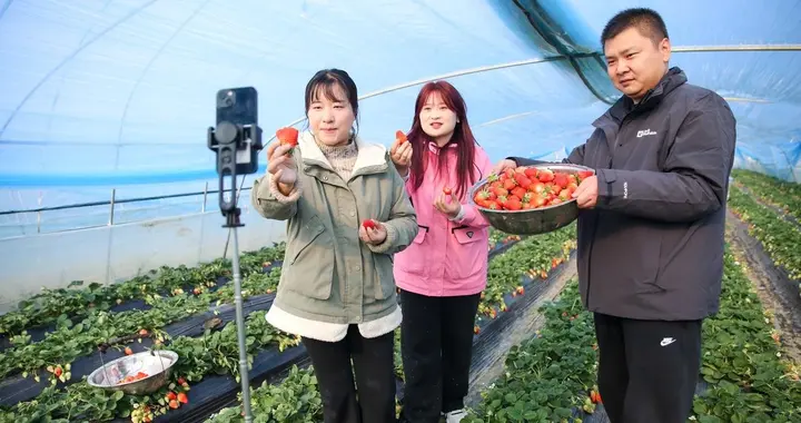 村干部直播“卖肉”背后的流量困局：不擦边，真的没人看吗？