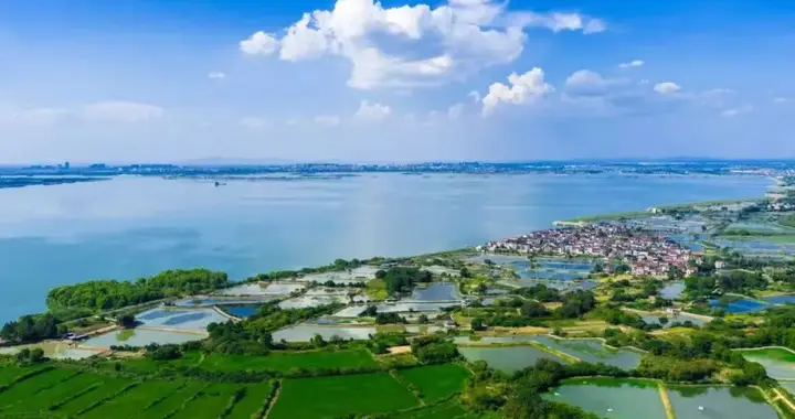 不赶时髦的高淳，“反向操作”跑出三年来最快增速