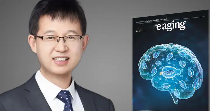 Nature子刊：单细胞图谱揭示小肠衰老核心机制，二甲双胍可逆转