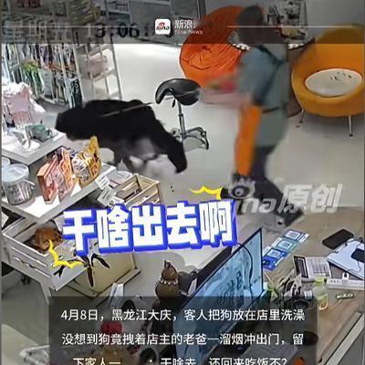 大核有料：“笑不活了！”4月8日，黑龙江