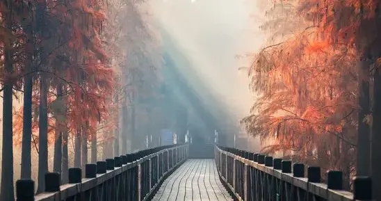 60岁到70岁这十年，惜命的最好方式不是锻炼，而是这7件事