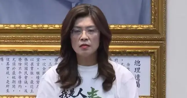 国民党最新征召六人，郑丽文发声，赵少康又想搞内讧？