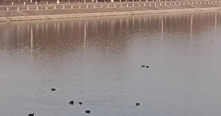 洞天春.春暖花开