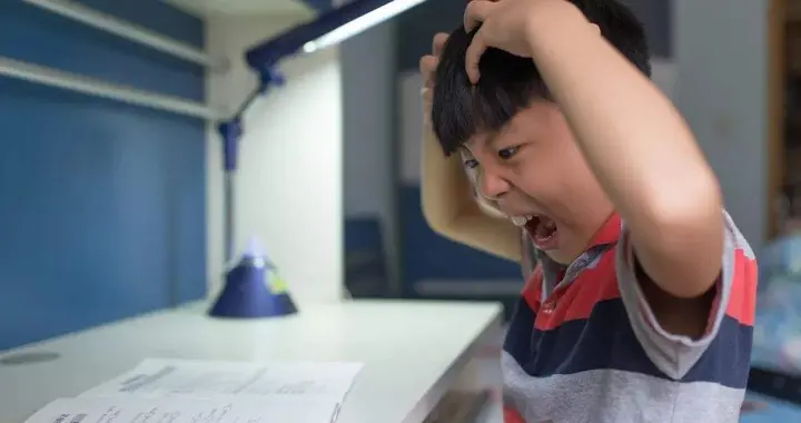 张家界家长抱怨三年级作业太多，每天要做到晚上10点半，网友热议