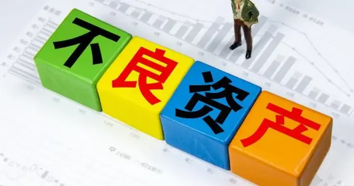 《每一笔坏账，都是当初脑子进的水 》|个贷不良·债的维度