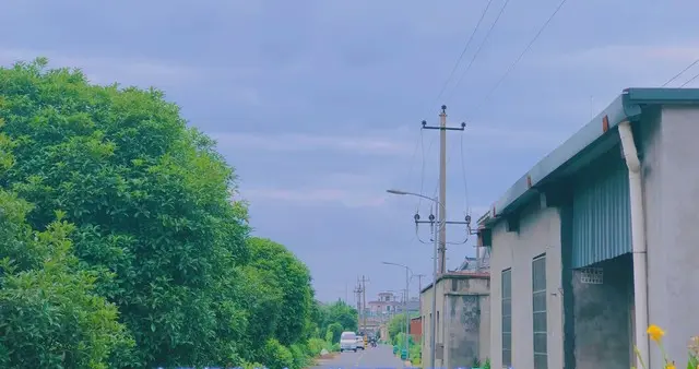 真正走上坡路的人，都悄悄度过了一段无人问津的时光