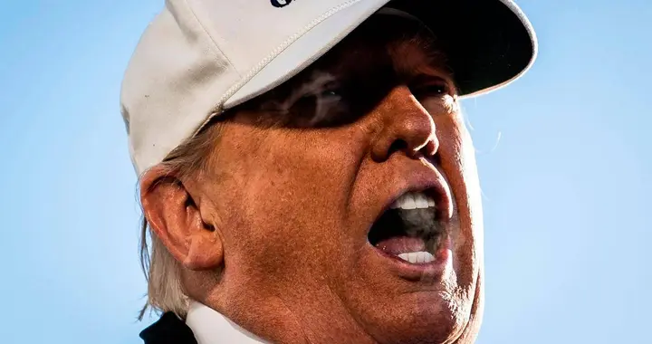 西方盟友接连访华，美国关税大棒为何失灵了？