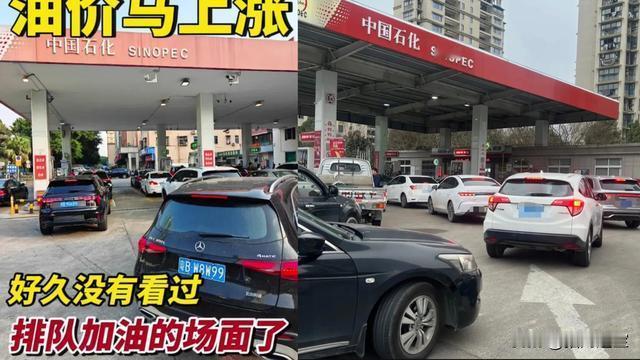 招财进宝：昨天把油加满的人， 今天怕是要