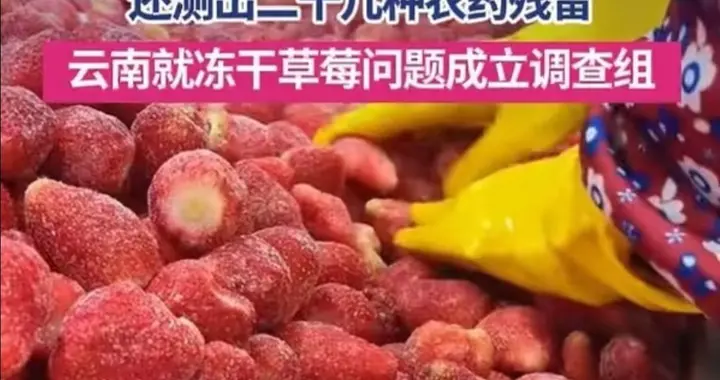 天塌了！冻干草莓含20种农药？致癌物“镉”严重超标，官方通报！
