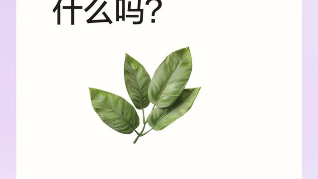 郭有理ya：你知道这种"叶似青葱根如蒜"