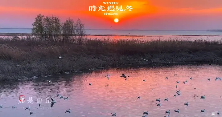 我发布了一条视频，快来看看吧～